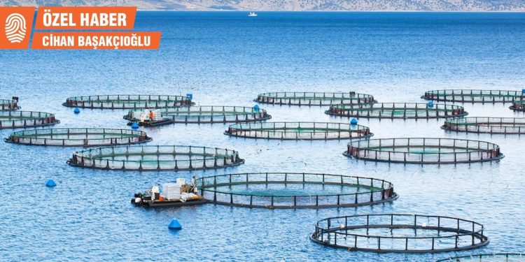 Yapımı tepkilere neden olan balık çiftliği kapasite artışına gitti